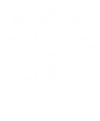 Logo - blanco sin fondo